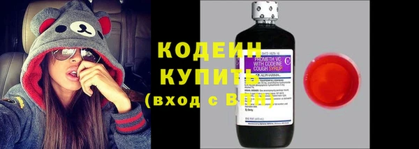 прущие грибы Козельск