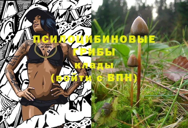 прущие грибы Козельск
