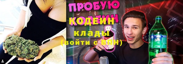 прущие грибы Козельск